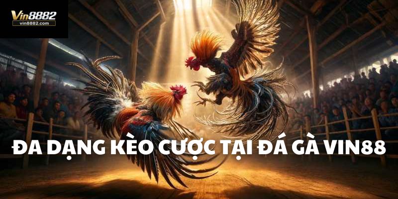 đa dạng các kèo cược tại đá gà vin88
