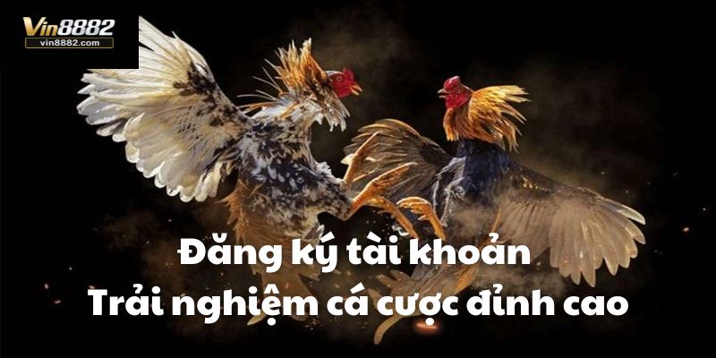 Đăng ký tài khoản ngay hôm nay để hưởng ưu đãi của nhà cái
