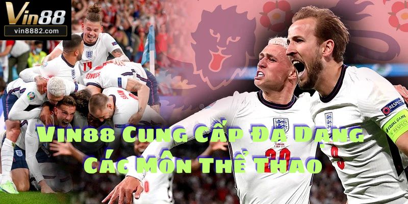 Vin88 Cung Cấp Đa Dạng Các Môn Thể Thao