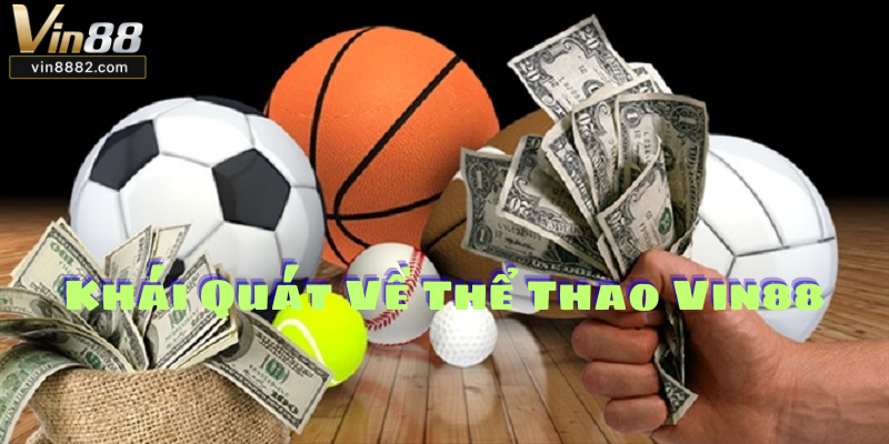 Khái Quát Thể Thao Vin88